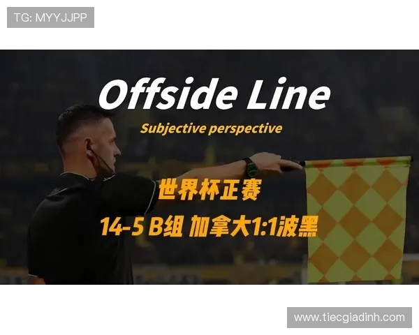 世界杯波黑对阵加拿大比赛时间及直播安排,详细解读与观看建议